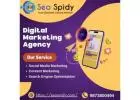 Digital Success Starts Here seospidy digital marketing services in Gurgaon