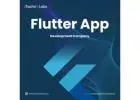 Good Flutter App Development Company in California - iTechnolabs
