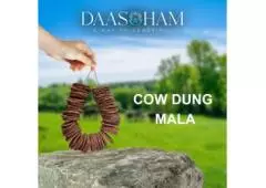 COW DUNG PATTIES IN ****KHAPATNAM