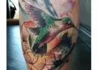 Surf N Ink Tattoo Provides the Best Tattoo Parlours in the Gold Coast 