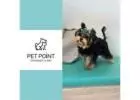 Pet Clinic Dubai, Finest Veterinary Facility