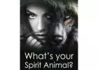Enhancing Spiritual Awareness: Seek Guidance from Animals Near You【✚２７７２５７７０３７６】