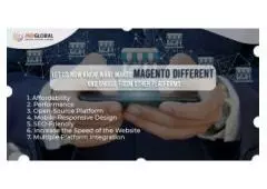 Online Magento Website Development Company In New York 