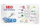 Enhance Your Online Presence with SeoSpidy's Professional SEO Services