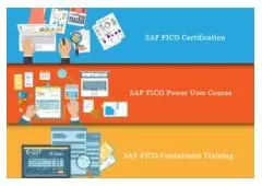 SAP FICO Course in Delhi,110044, SLA Accounting Institute, SAP s/4 Hana Finance 
