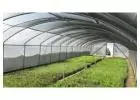 Shade Net: Versatile Solutions for Sun Protection and Agriculture