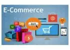 Dominate Ecommerce with Expert Marketing Solutions from SEO Spidy in India